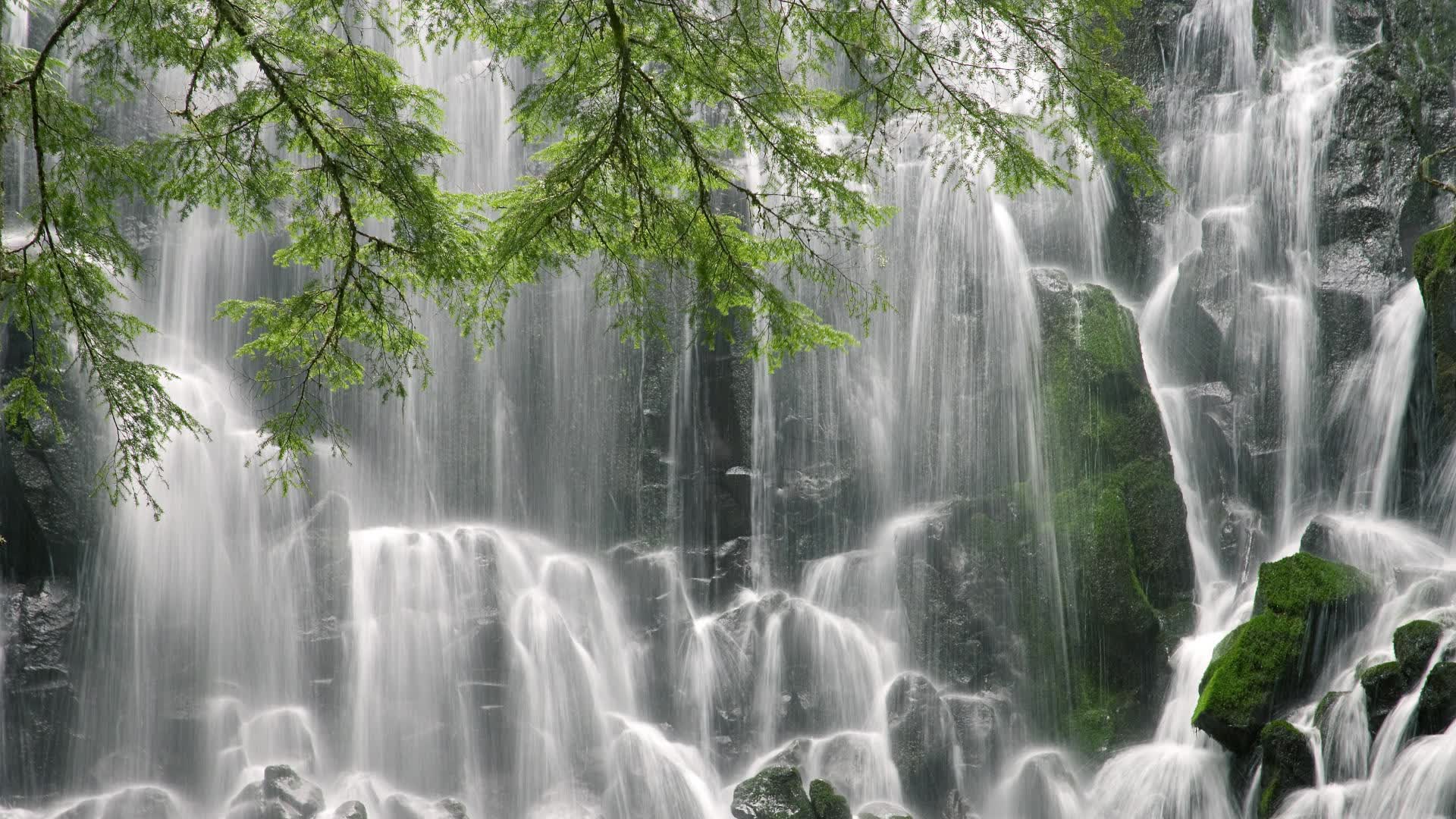 世界拳击职业联赛赛季后裁判培训与认证常态化项目落地，拳击裁判证怎么考取